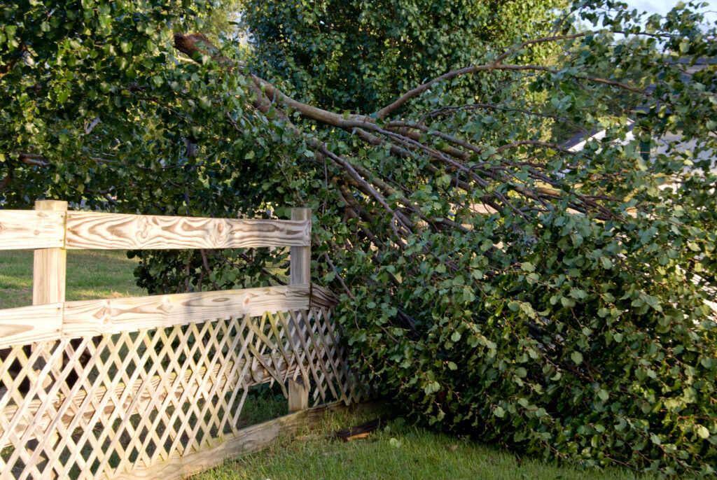 Large tree branch fallen on a fence in Chalmette, highlighting the need for prompt emergency tree removal services to prevent further property damage.